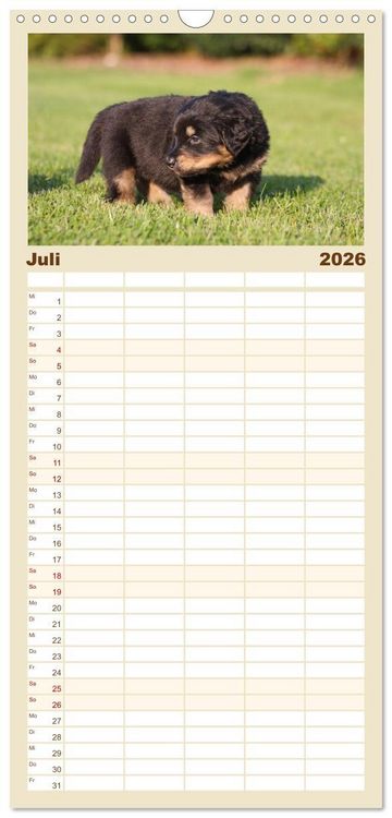Produktbild: Familienplaner 2026 - Hovawarte - einmal anders mit 5 Spalten (Wandkalender, 21 x 45 cm) CALVENDO