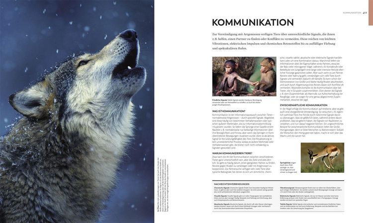 Produktbild: Tiere und ihr Verhalten