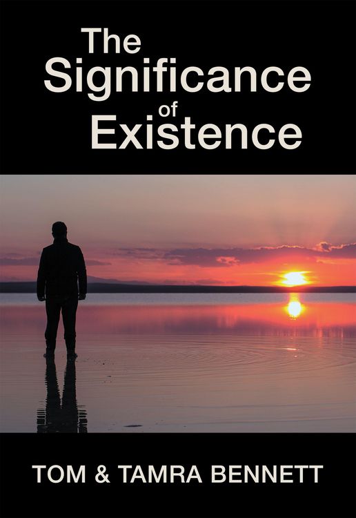 Produktbild: The Significance of Existence