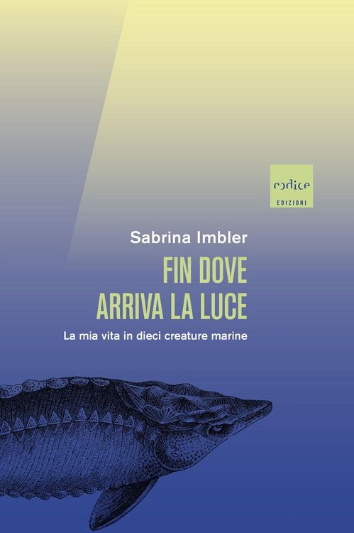 Produktbild: Fin dove arriva la luce. La mia vita in dieci creature marine