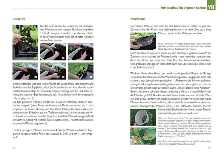 Produktbild: Der Schildkr&ouml;ten-G&auml;rtner - Naturnahe Ern&auml;hrung Europ&auml;ischer Landschildkr&ouml;ten