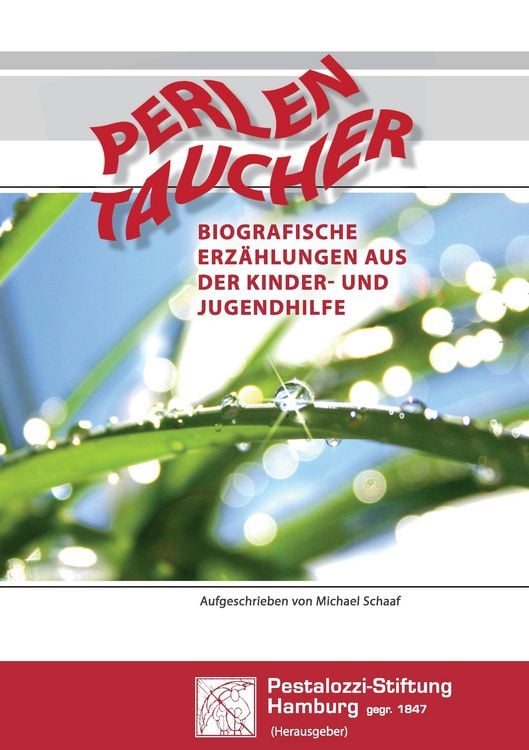 Produktbild: Perlen Taucher - Biografische Erz&auml;hlungen aus der Kinder- und Jugendhilfe