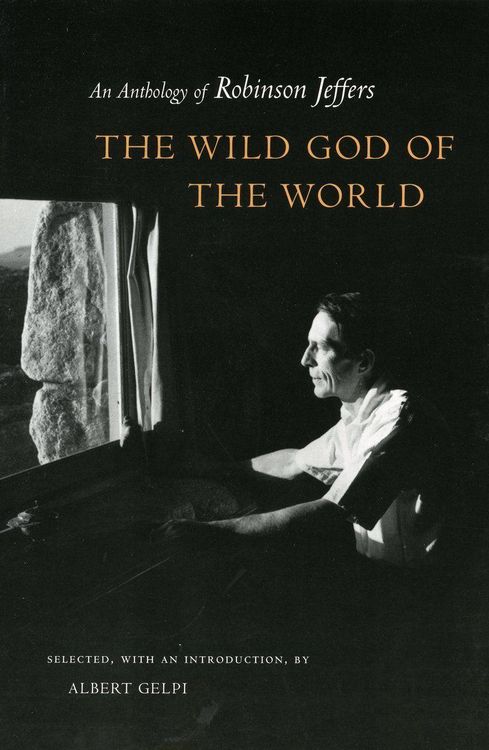 Produktbild: The Wild God of the World