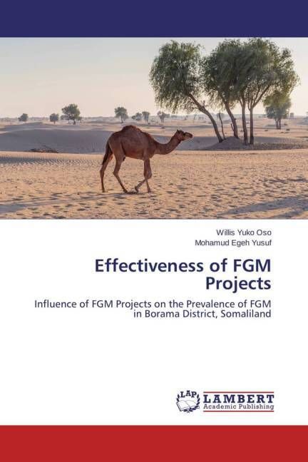 Produktbild: Yuko Oso, W: Effectiveness of FGM Projects