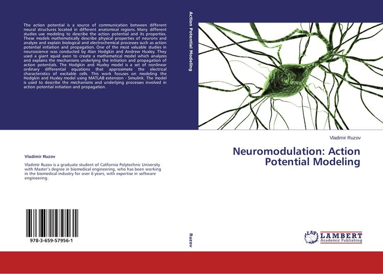 Produktbild: Neuromodulation: Action Potential Modeling
