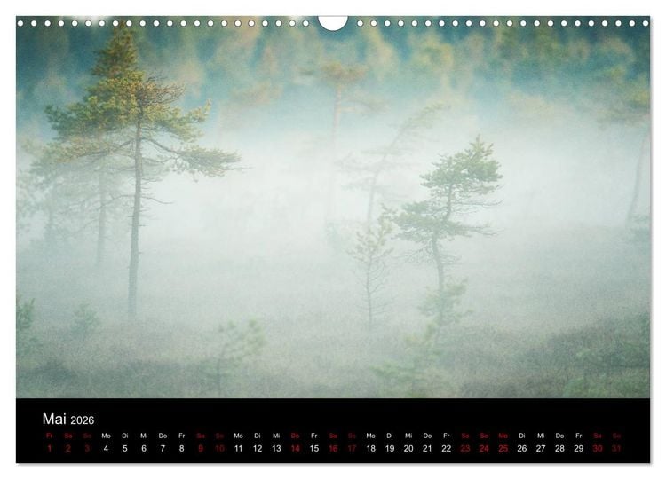 Produktbild: Wundersame Natur in Deutschland (Wandkalender 2026 DIN A3 quer), CALVENDO Monatskalender
