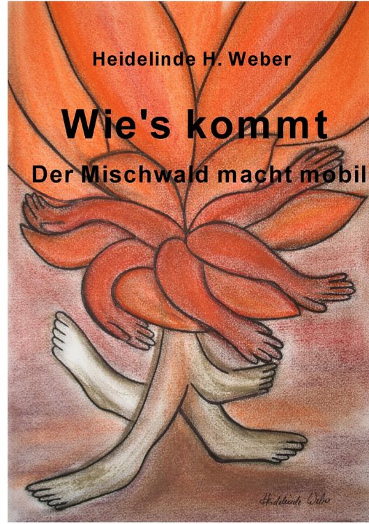 Produktbild: Wie's kommt