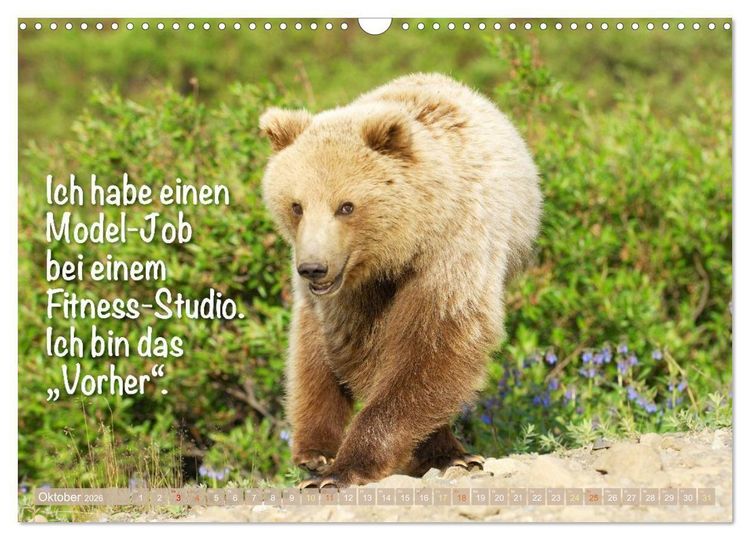 Produktbild: Spa&szlig; mit B&auml;ren: Edition lustige Tiere (Wandkalender 2026 DIN A3 quer), CALVENDO Monatskalender