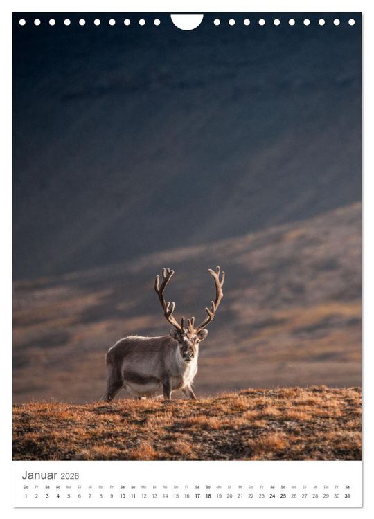 Produktbild: Die Arktis - Naturfotografien aus Spitzbergen (Wandkalender 2026 DIN A4 hoch), CALVENDO Monatskalender