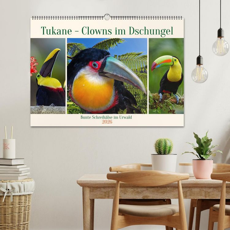 Produktbild: Tukane - Clowns im Dschungel (Wandkalender 2026 DIN A2 quer), CALVENDO Monatskalender