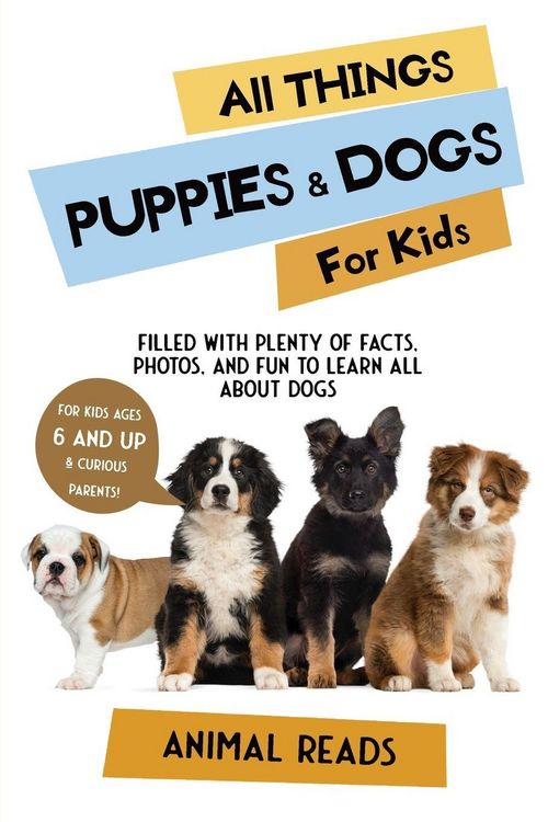 Produktbild: All Things Puppies & Dogs For Kids