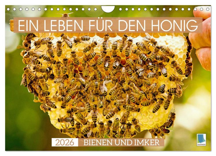 Produktbild: Ein Leben f&uuml;r den Honig - Bienen und Imker (Wandkalender 2026 DIN A4 quer), CALVENDO Monatskalender