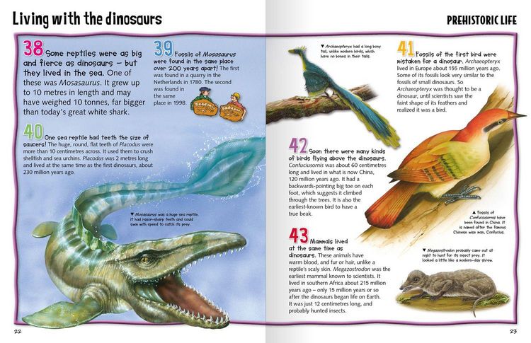 Produktbild: Wild About Dinosaurs
