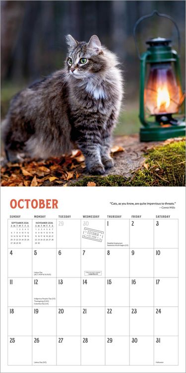 Produktbild: Travel Cats Wall Calendar 2026