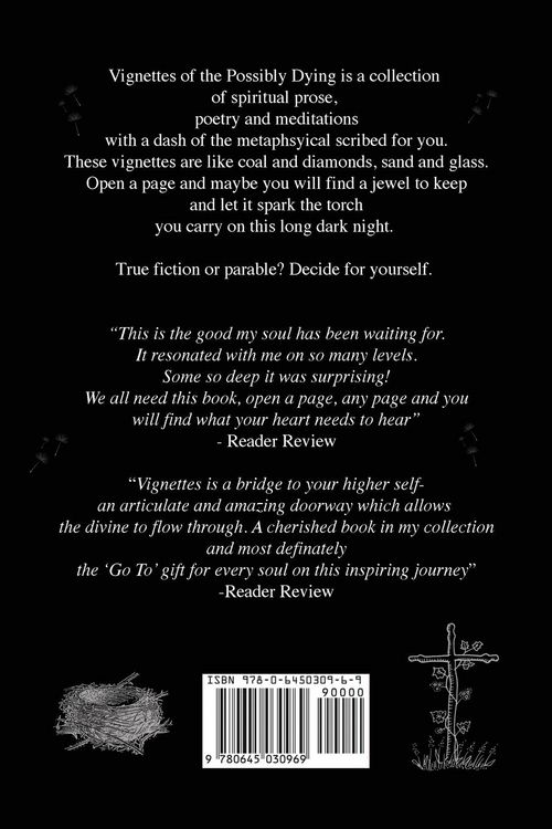 Produktbild: Vignettes of the Possibly Dying