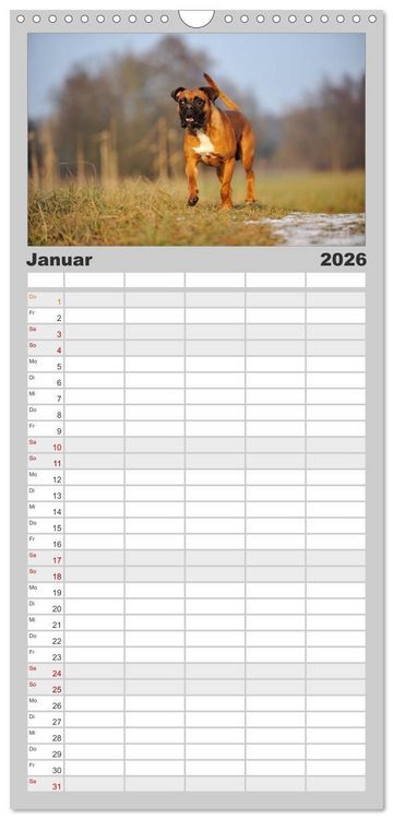 Produktbild: Familienplaner 2026 - Gut - besser - Boxer mit 5 Spalten (Wandkalender, 21 x 45 cm) CALVENDO