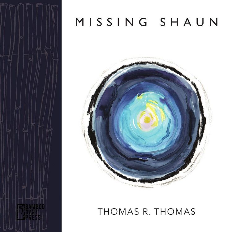 Produktbild: Missing Shaun