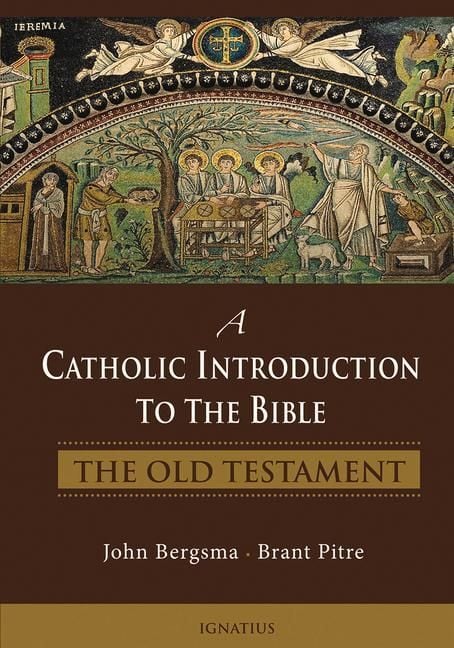 Produktbild: A Catholic Introduction to the Bible