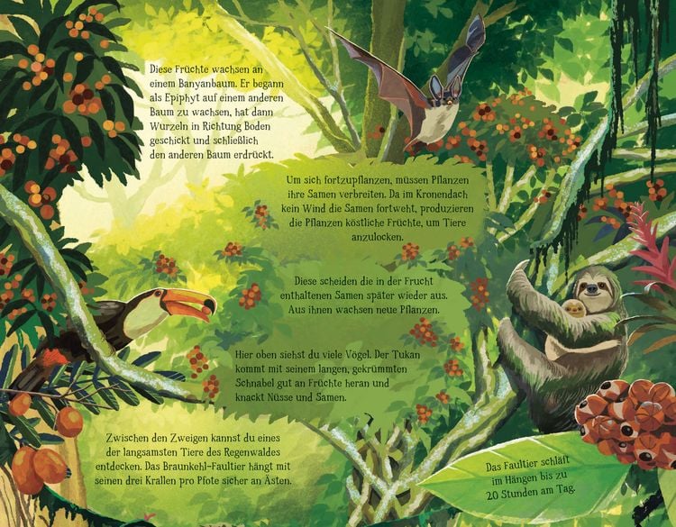 Produktbild: Von der Wurzel bis zum Wipfel