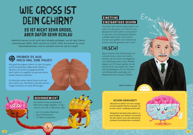 Produktbild: In den Kopf geschaut &ndash; Was das Gehirn alles kann