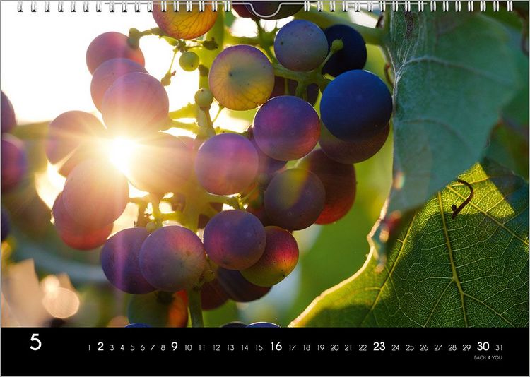 Produktbild: Der Weinkalender 2027, DIN A3 &ndash; ein Fotokalender