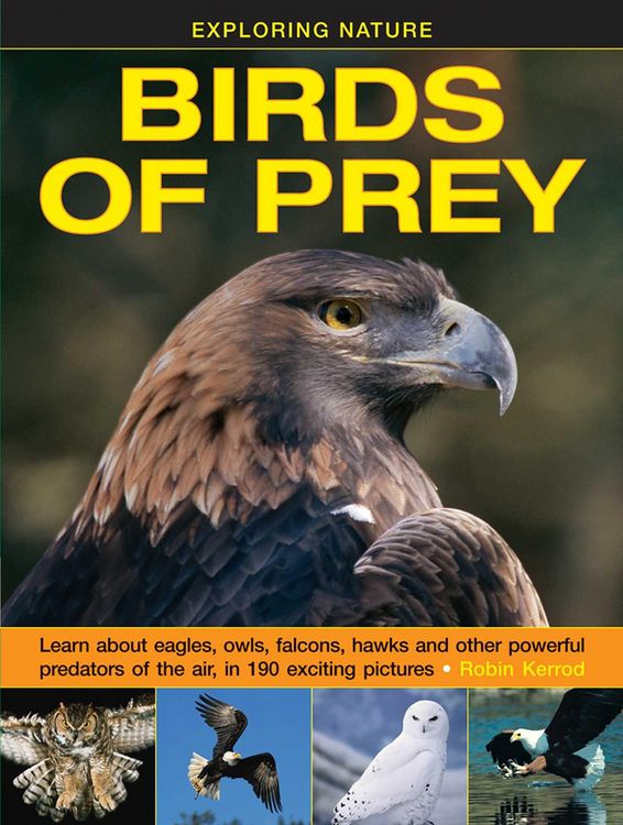 Produktbild: Exploring Nature: Birds of Prey