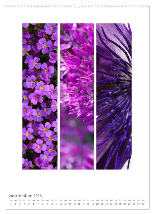 Produktbild: Colours of Nature - Triptycha (High Quality Premium Wall Calendar 2026 DIN A2 portrait),CALVENDO 12 Month Wall Calendar