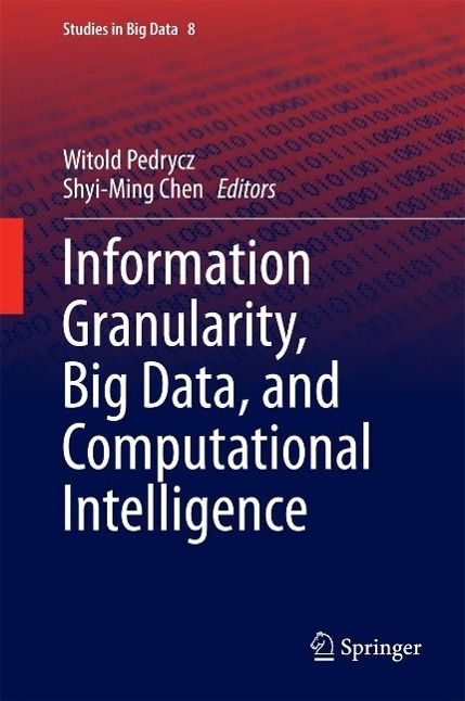 Produktbild: Information Granularity, Big Data, and Computational Intelligence