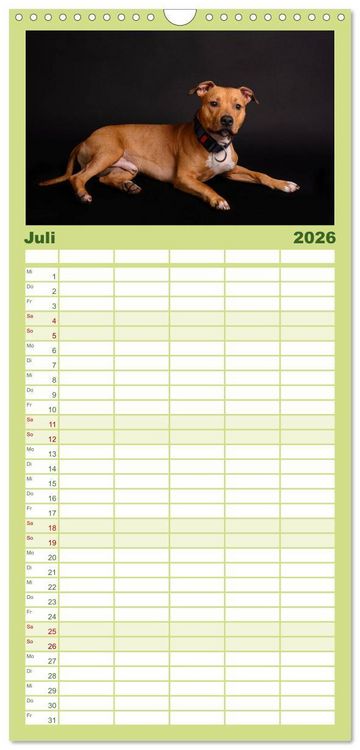 Produktbild: Familienplaner 2026 - Pit Bull und Co. - Geliebt, gef&uuml;rchtet, missverstanden mit 5 Spalten (Wandkalender, 21 x 45 cm) CALVENDO