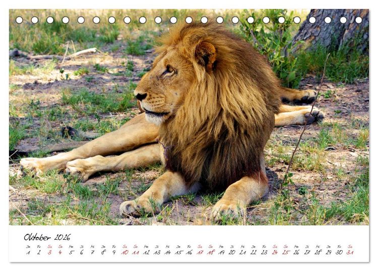 Produktbild: Namibia - Magie der Weite (Tischkalender 2026 DIN A5 quer), CALVENDO Monatskalender