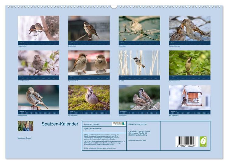 Produktbild: Spatzen-Kalender (hochwertiger Premium Wandkalender 2027 DIN A2 quer), Kunstdruck in Hochglanz