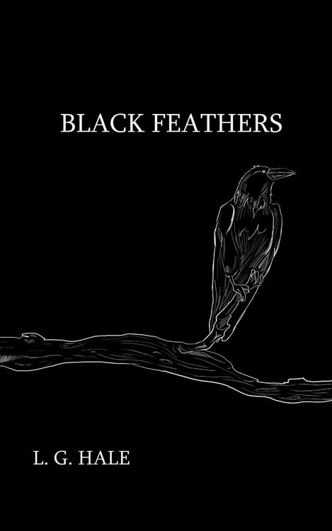 Produktbild: Black Feathers