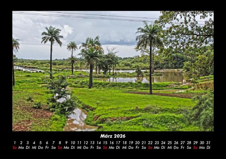 Produktbild: Palmentraum 2026 Fotokalender DIN A3