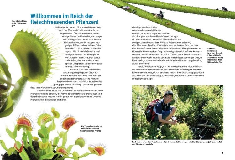 Produktbild: Entdecke fleischfressende Pflanzen