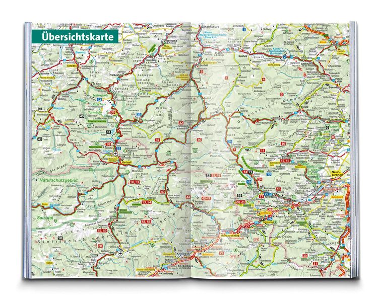 KOMPASS Wanderführer Wiener Hausberge, 60 Touren mit Extra-Tourenkarte