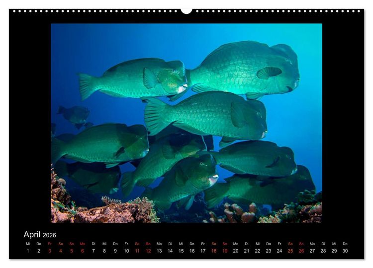 Produktbild: Ocean-Art / CH-Version (Wandkalender 2026 DIN A2 quer), CALVENDO Monatskalender
