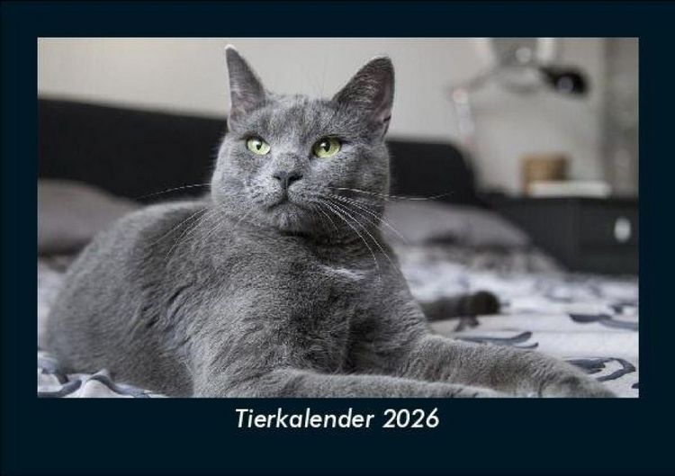 Produktbild: Tierkalender 2026 Fotokalender DIN A5
