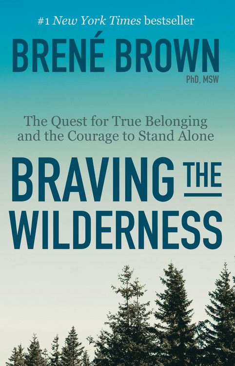 Produktbild: Braving the Wilderness