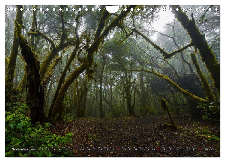 Produktbild: La Isla de La Gomera - Wilde Sch&ouml;nheit im Atlantik (Wandkalender 2026 DIN A4 quer), CALVENDO Monatskalender