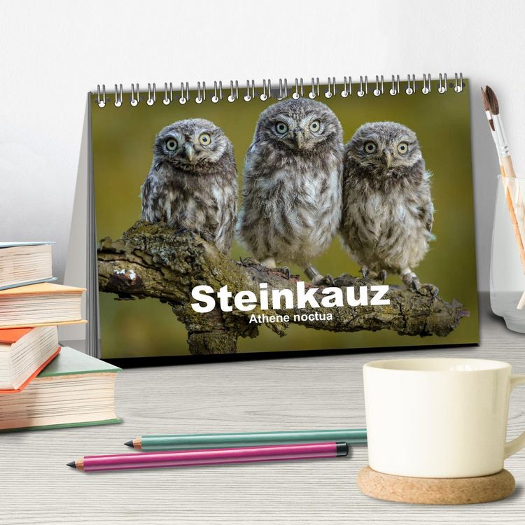 Produktbild: Steink&auml;uze (Athene noctua) (Tischkalender 2026 DIN A5 quer), CALVENDO Monatskalender