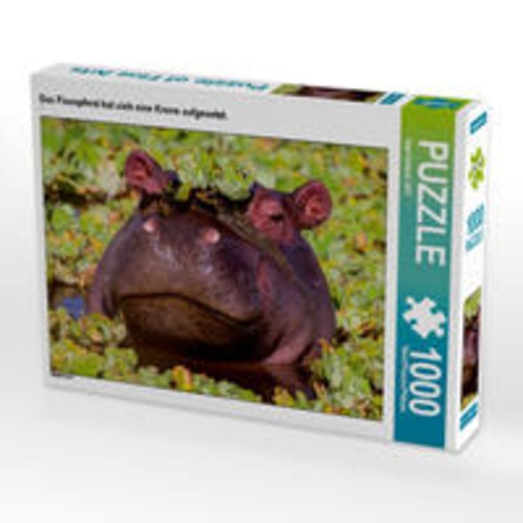 Produktbild: CALVENDO Puzzle Das Flusspferd hat sich eine Krone aufgesetzt. 1000 Teile Lege-Gr&ouml;&szlig;e 64 x 48 cm Foto-Puzzle Bild von Ingo Gerlach GDT
