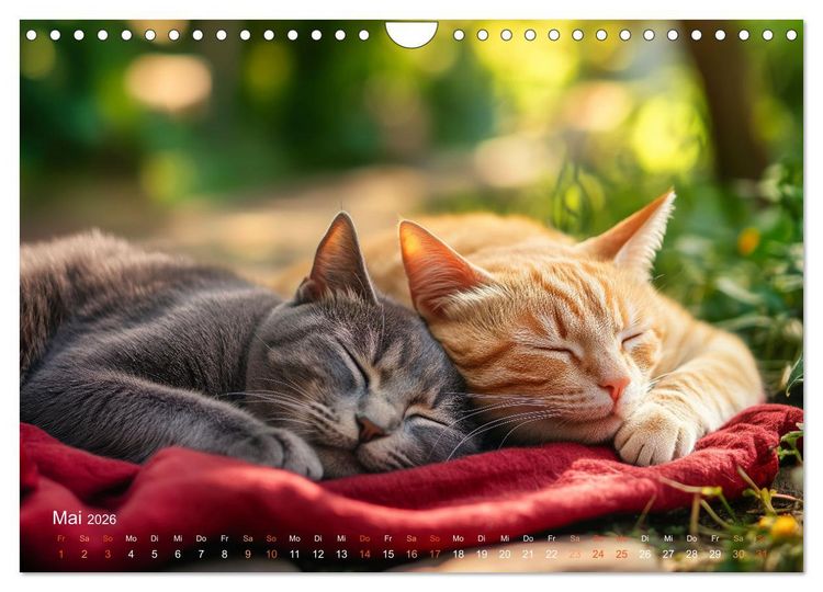 Produktbild: Katzenkunstwerke (Wandkalender 2026 DIN A4 quer), CALVENDO Monatskalender