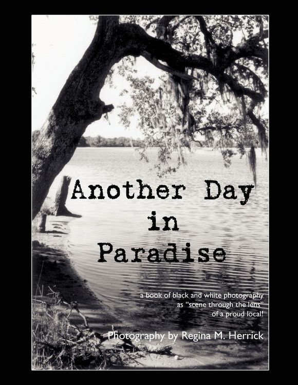 Produktbild: Another Day in Paradise