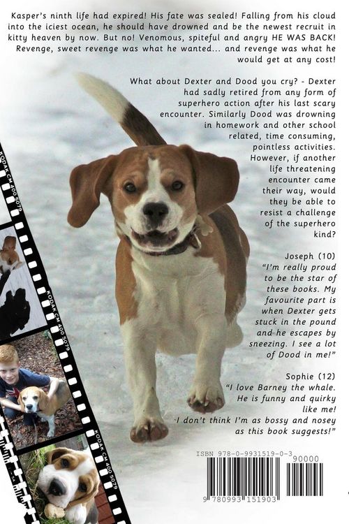 Produktbild: The Amazing Adventures of Dexter and Dood - H20, no armbands needed!