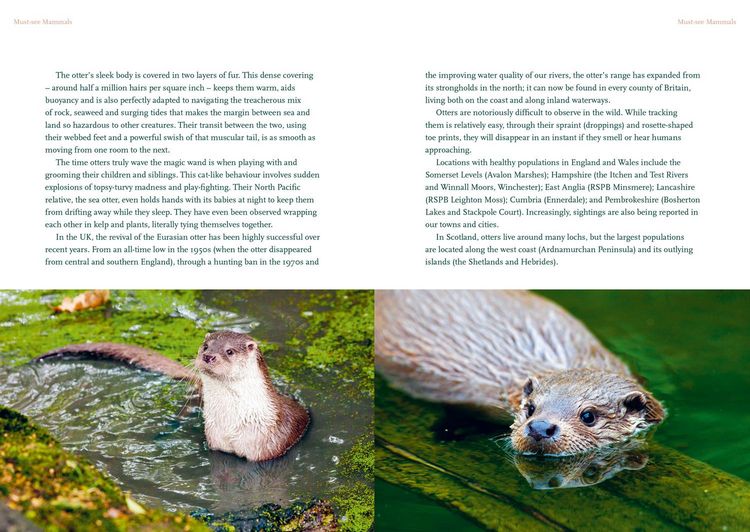 Produktbild: The Nature Lover's Bucket List