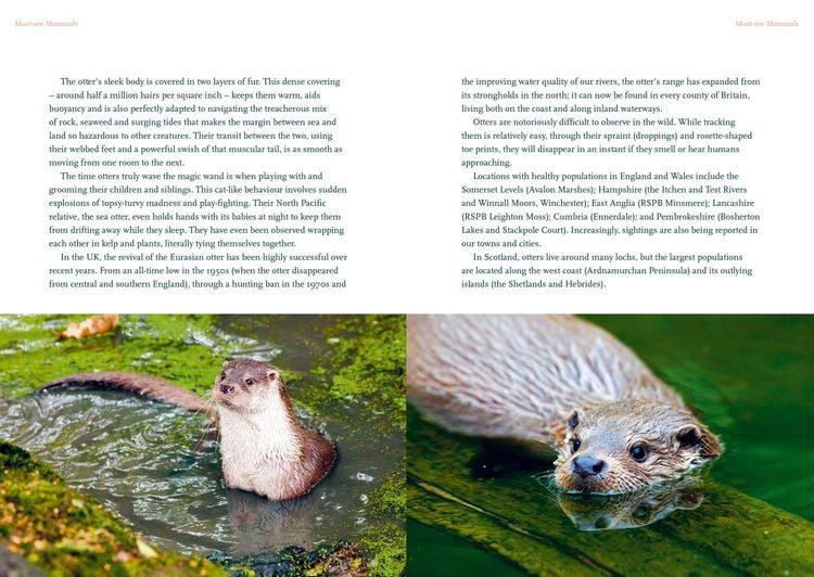 Produktbild: The Nature Lover's Bucket List