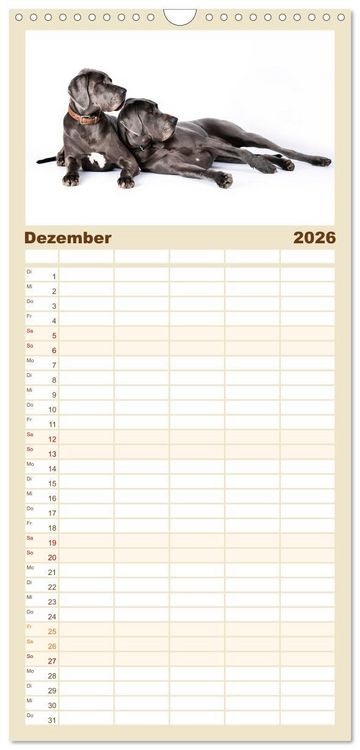 Produktbild: Familienplaner 2026 - Deutsche Doggen / Geburtstagskalender mit 5 Spalten (Wandkalender, 21 x 45 cm) CALVENDO