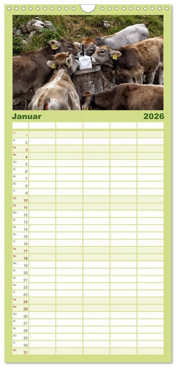 Produktbild: Familienplaner 2026 - Allg&auml;u - Natur pur mit 5 Spalten (Wandkalender, 21 x 45 cm) CALVENDO