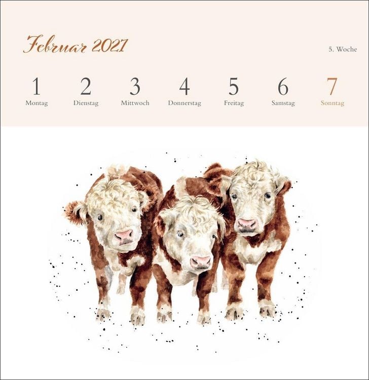 Produktbild: Hannah Dale: Happy Animals Premium-Postkartenkalender 2027