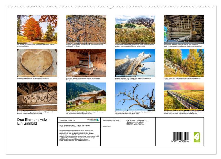 Produktbild: Das Element Holz - Ein Sinnbild (hochwertiger Premium Wandkalender 2026 DIN A2 quer), Kunstdruck in Hochglanz